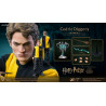 Harry Potter - Figure Cedric Diggory Triwizard, Normal or Deluxe, My Favourite Movie