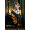 Harry Potter - Figure Cedric Diggory Triwizard, Normal or Deluxe, My Favourite Movie