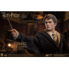 Harry Potter - Figure Cedric Diggory Triwizard, Normal or Deluxe, My Favourite Movie
