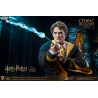 Harry Potter - Figure Cedric Diggory Triwizard, Normal or Deluxe, My Favourite Movie