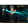 Harry Potter - Figure Cedric Diggory Triwizard, Normal or Deluxe, My Favourite Movie