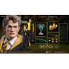 Harry Potter - Figure Cedric Diggory Triwizard, Normal or Deluxe, My Favourite Movie
