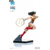 DC Comics - Wonder Woman figure by Ivan Reis