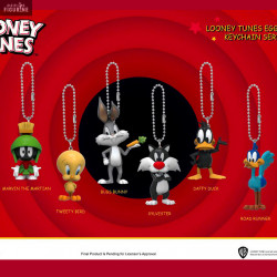 Pack 6 keychains Looney...