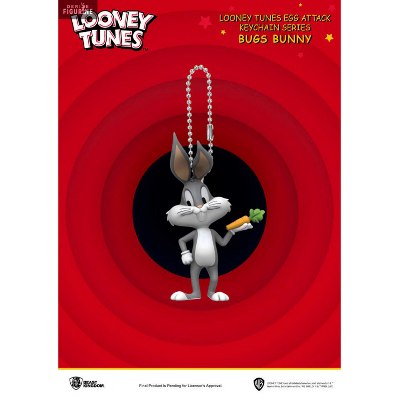 Pack 6 keychains Looney...