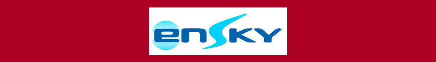 Figures Ensky