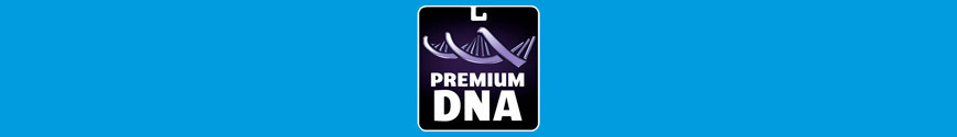 Figurine Premium DNA Toys