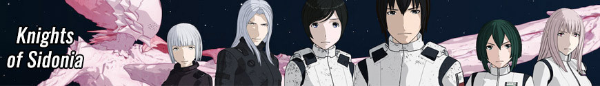 Figurines Knights of Sidonia et produits dérivés