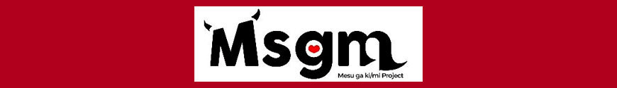 Figures MSGM Project