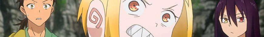 Figures and merchandising products Sengoku Youko