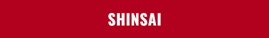 Figures SHINSAI