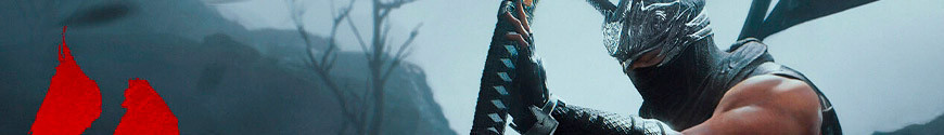 Figures and merchandising products Ninja Gaiden