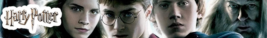 Figurines Harry Potter et produits dérivés