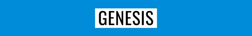 Figurines Genesis