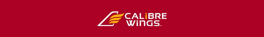 Figures Caliber Wings