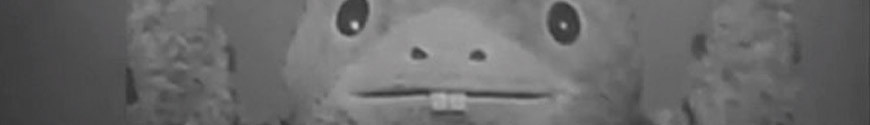 Kaiju Booska