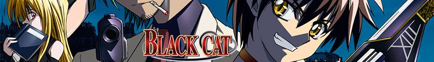 Black Cat