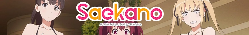 Saenai Heroine no Sodatekata - Saekano: How to Raise a Boring Girlfriend