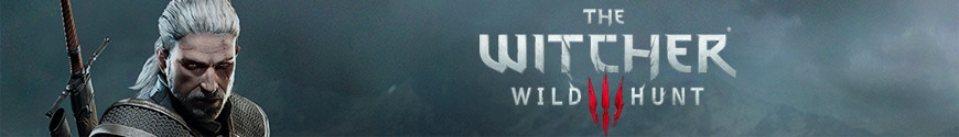 The Witcher