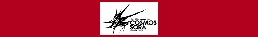Cosmos Sora Studio