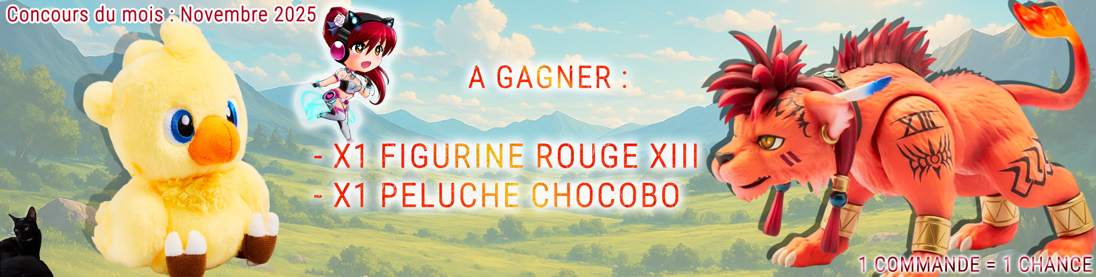 Concours de novembre